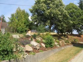 tzahrada